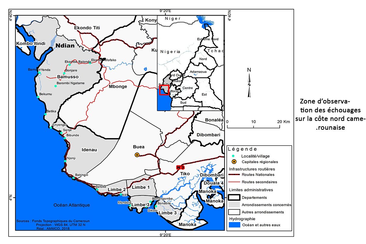 
                                             Towards a better knowledge of the Cameroonian aquatic megafauna *	